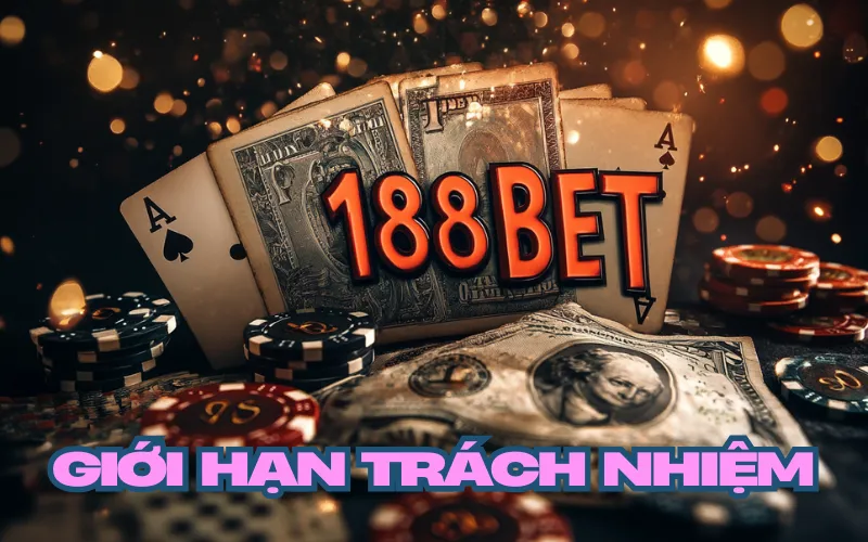 GIỚI HẠN TRÁCH NHIỆM