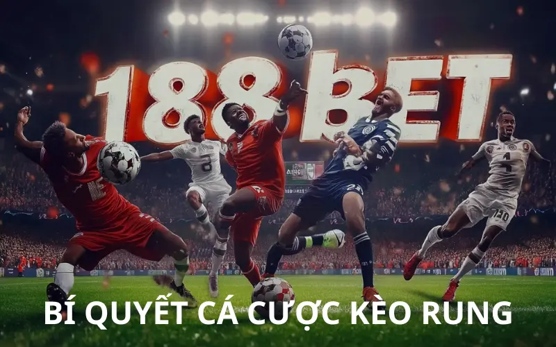 Bi quyet ca cuoc keo rung