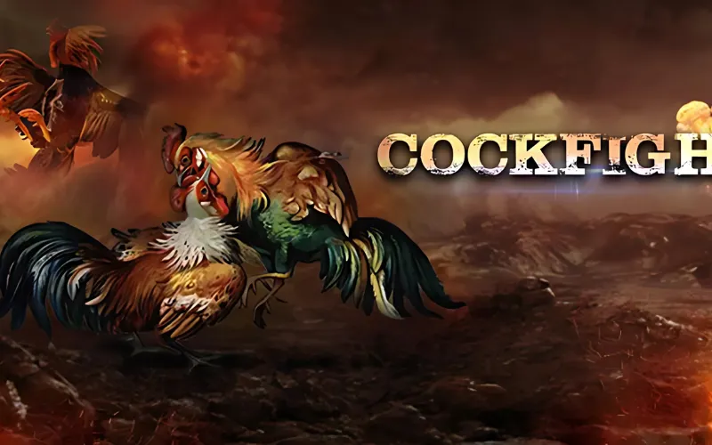 Cách chơi Rooster Rumble