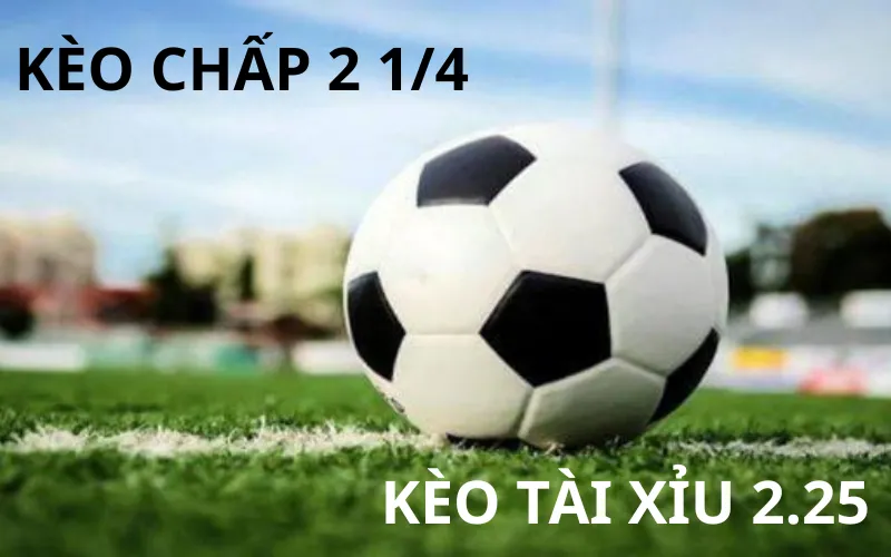 So Sánh Kèo Chấp 2 1/4 Và Kèo Tài Xỉu 2.25