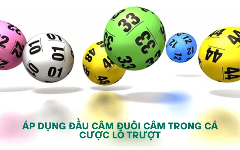 Áp dụng đầu câm đuôi câm trong cá cược lô trượt
