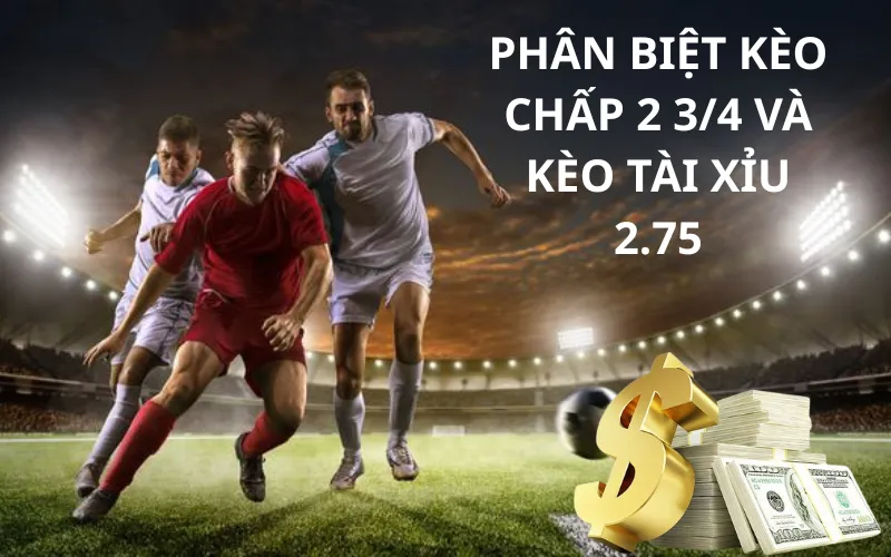 Phân biệt kèo chấp 2 3/4 và kèo tài xỉu 2.75